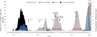 Outbreak of Influenza and Other Respiratory Viruses in Hospitalized Patients Alongside the SARS-CoV-2 Pandemic